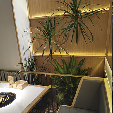 亿鼎烩猪肚鸡火锅万达店